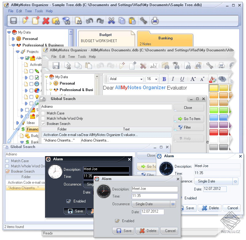 AllMyNotes Organizer