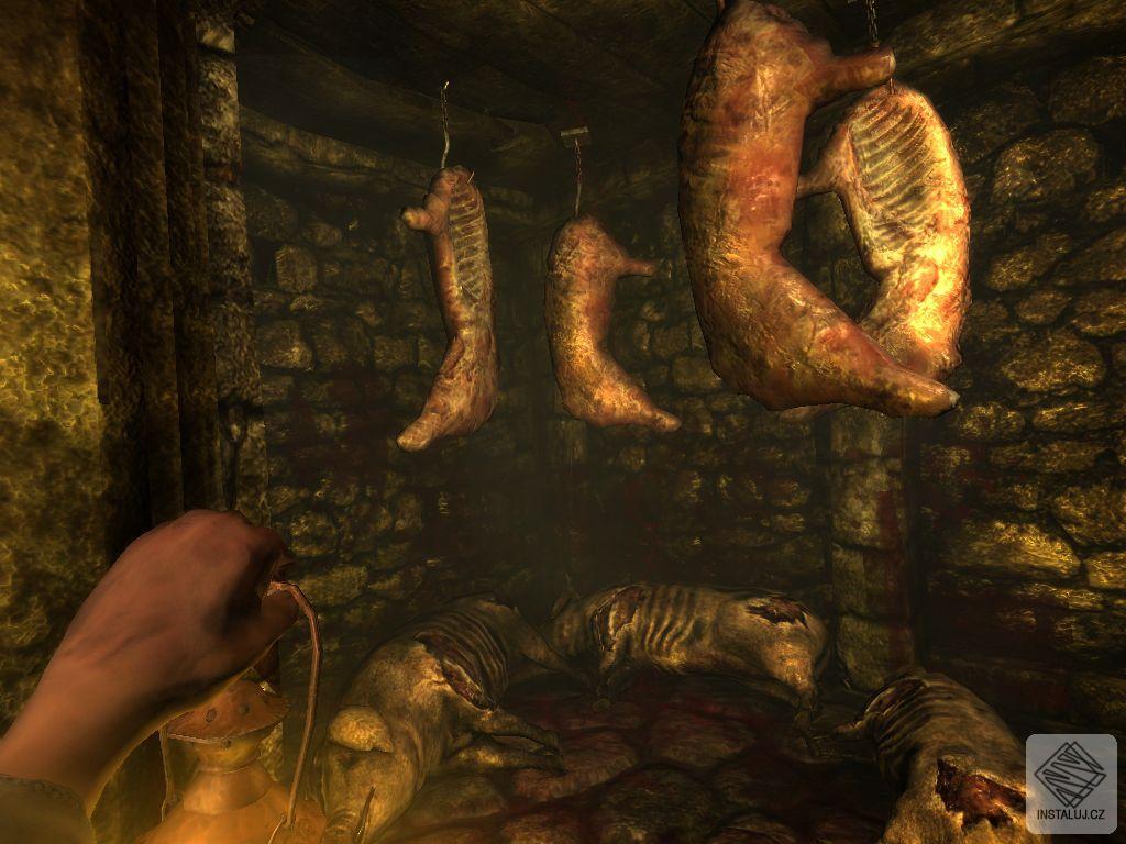 Amnesia: The Dark Descent