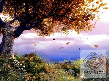 3D Trees Screensaver