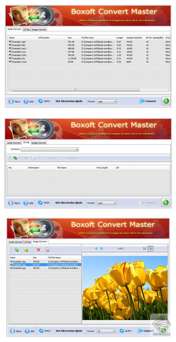 Boxoft Convert Master