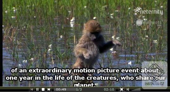 Neternity Flash Media Player