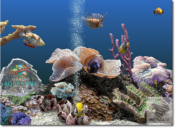 Marine Aquarium