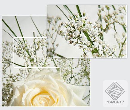 ACDSee Photo Studio Professional