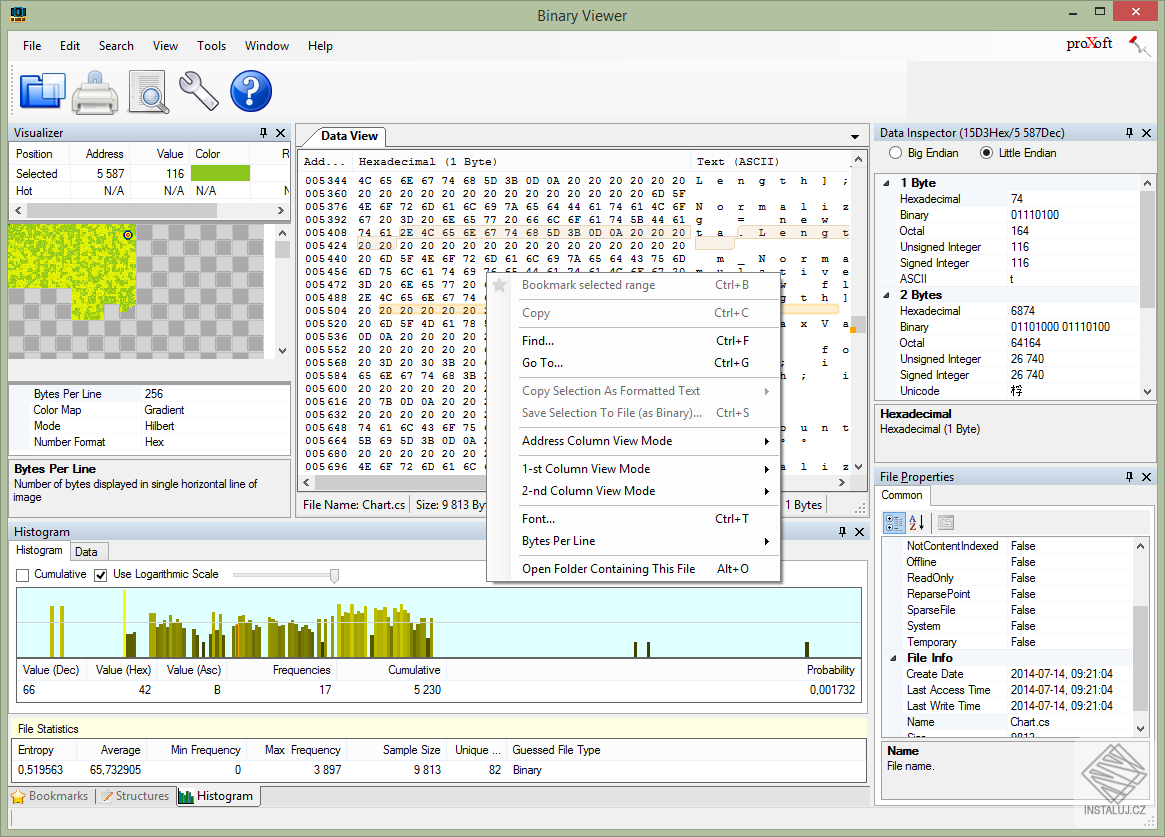 Binary Viewer