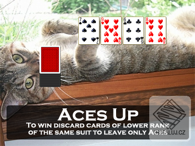Pretty Good Solitaire