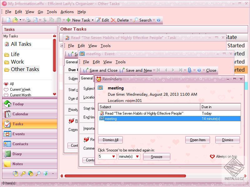Efficient Lady's Organizer