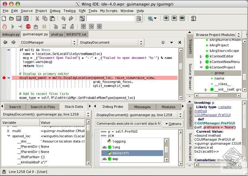 Wing IDE Professional