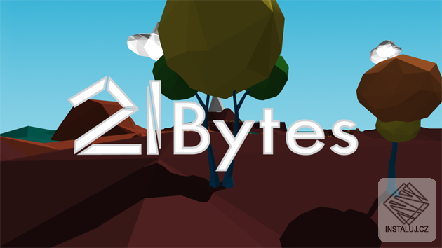 21 Bytes