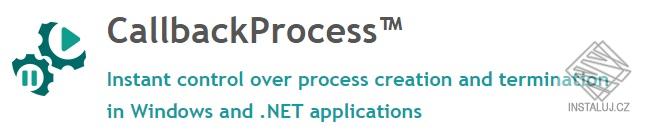 CallbackProcess