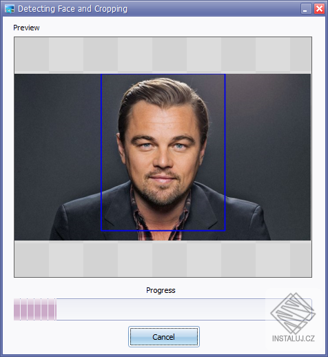 Face Crop Jet