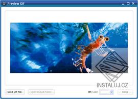 ThunderSoft Video to GIF Converter