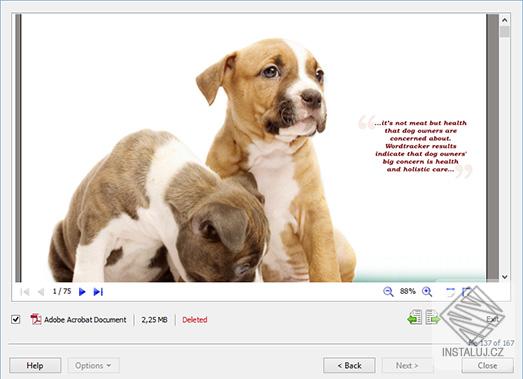 Magic Office Recovery