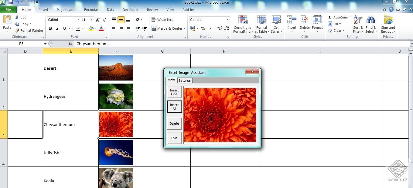 Excel Image Assistant