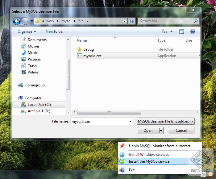MySQL Monitor
