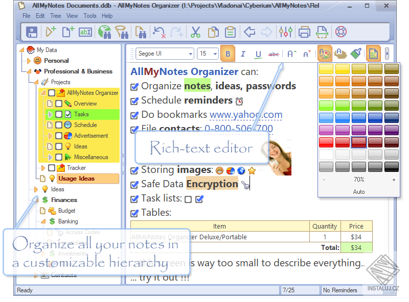 AllMyNotes Organizer Deluxe