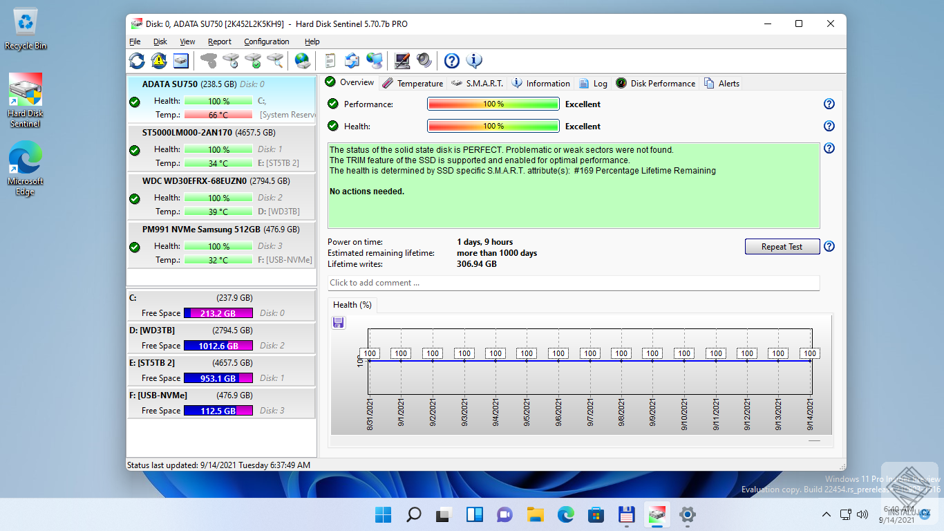 Hard Disk Sentinel Professional