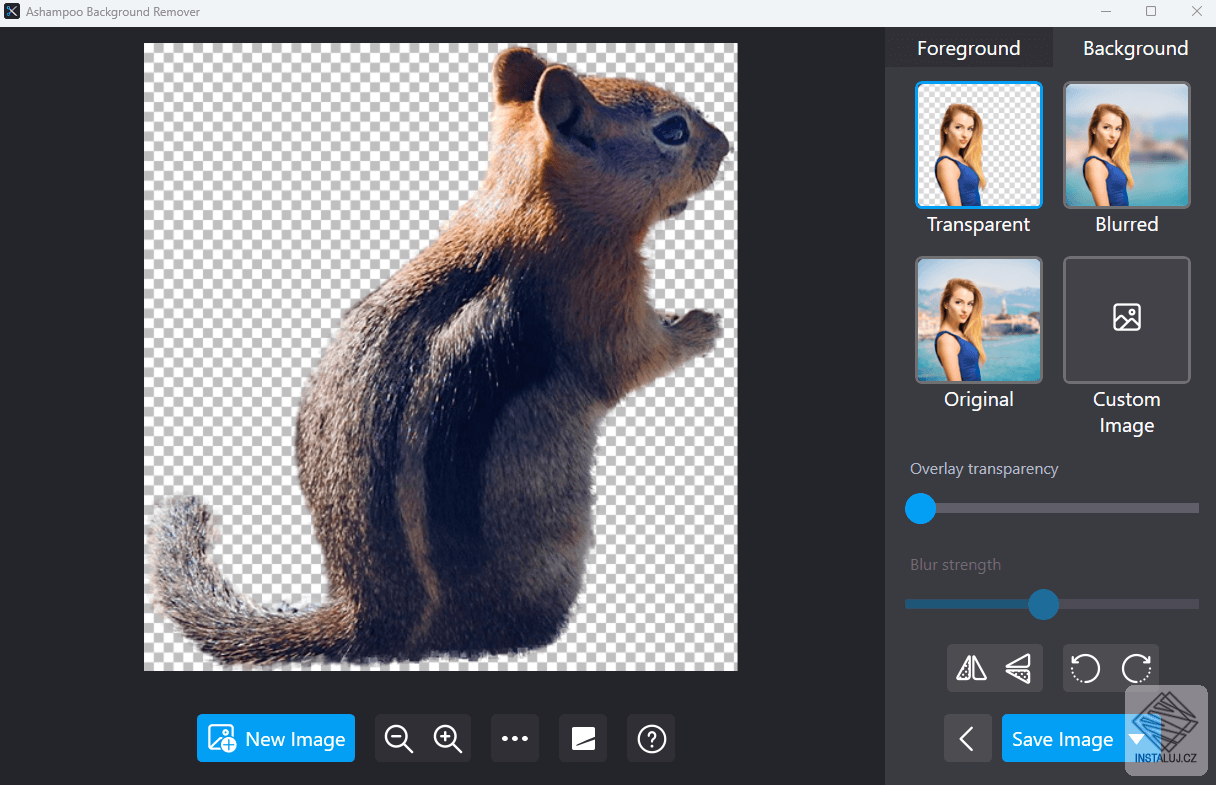 Ashampoo Background Remover
