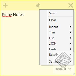 Pinny Notes