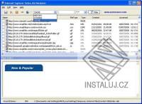 Index.dat Analyzer