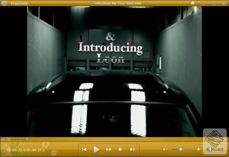 FreeSmith Video Player