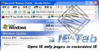 IE Tab