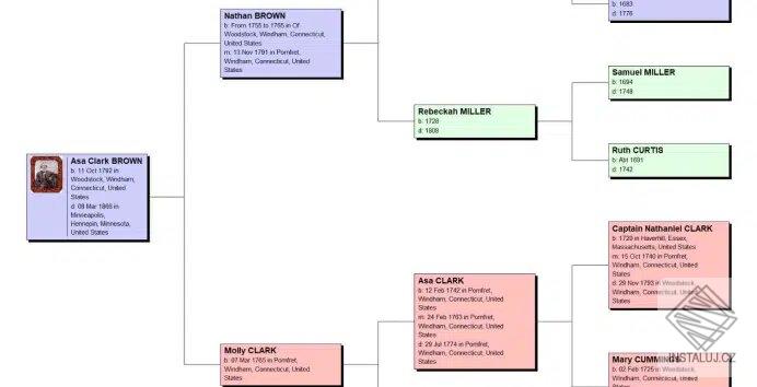 Legacy Family Tree