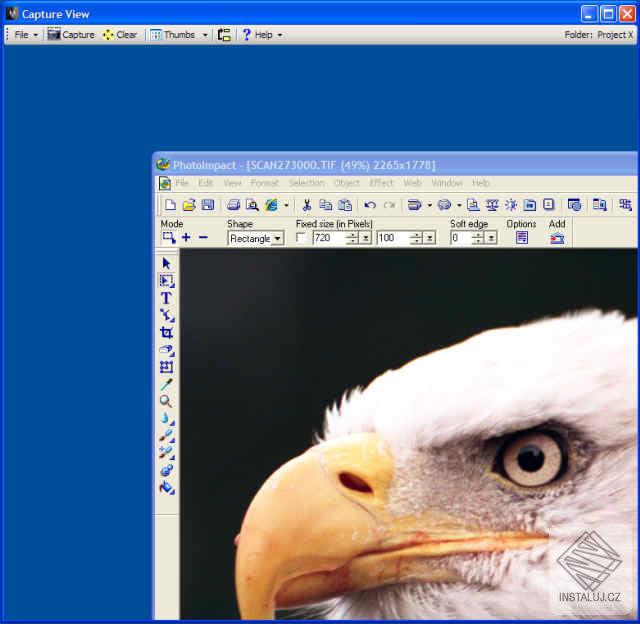 Capture View