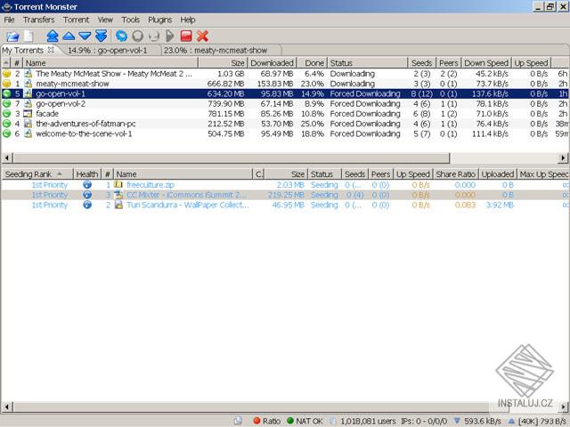 Torrent Monster
