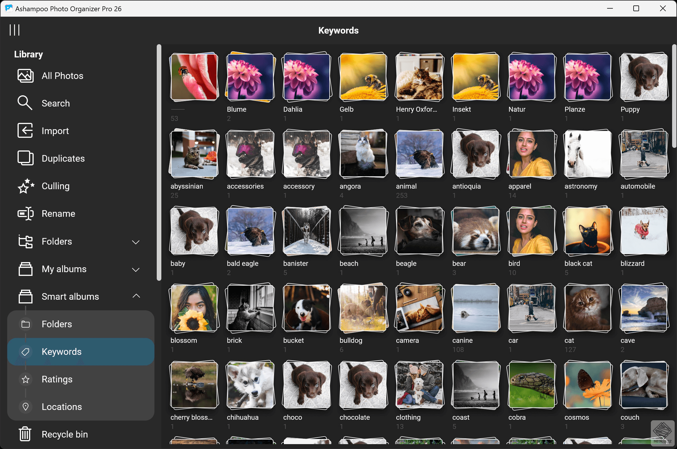 Ashampoo Photo Organizer Pro