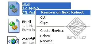 Remove on Reboot Shell Extension