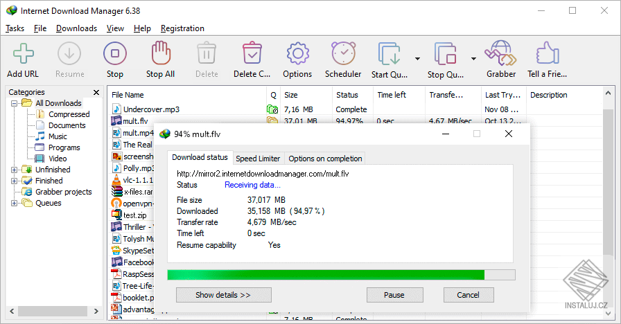Internet Download Manager