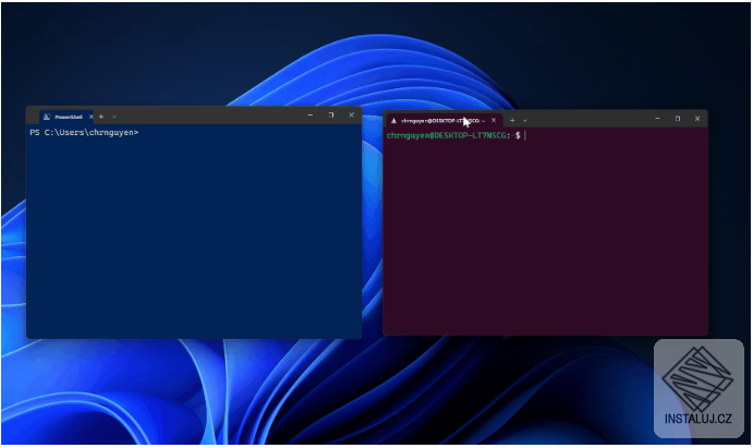 Windows Terminal