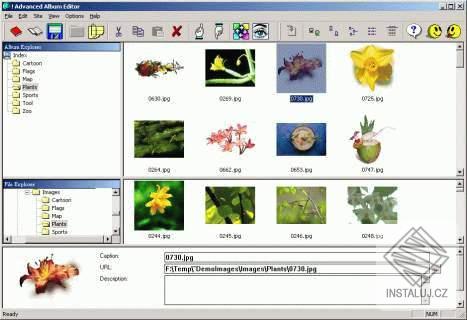 !Advanced Album Editor