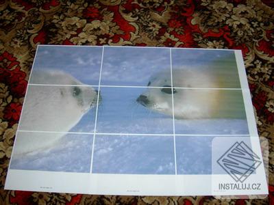 Wall Photo Maker