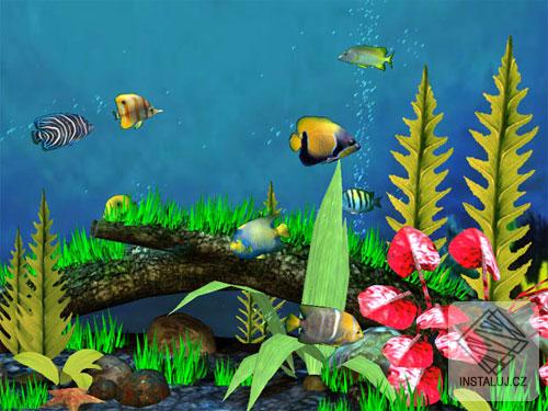 Aquarium 3D Screensaver