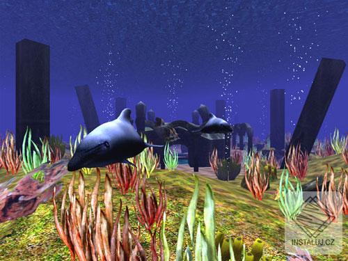 3D Wild Dolphin Screensaver