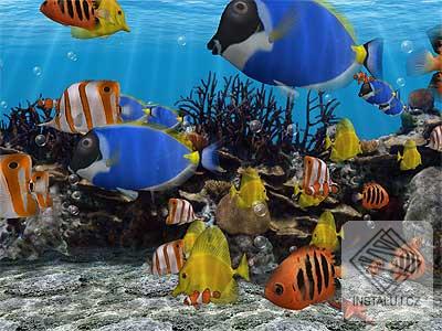 3D Fish School Screensaver