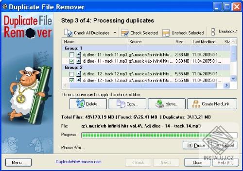 Duplicate File Remover