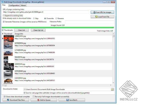Bulk Image Downloader