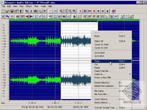 Naturpic Audio Editor