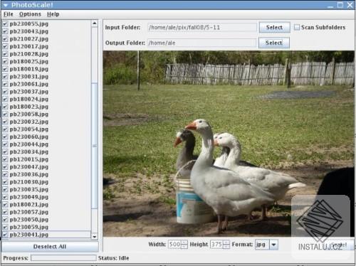PhotoScale!