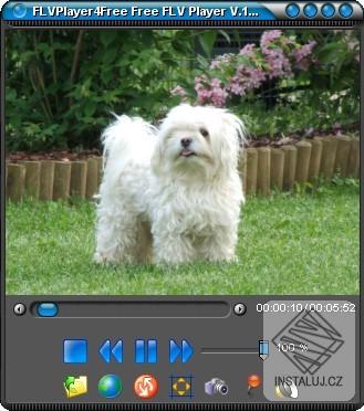 FLVPlayer4Free