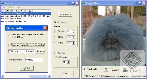 Resize