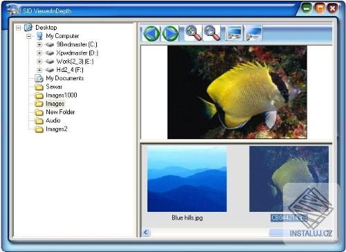 Image Viewer In Depth