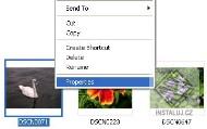 Exif Farm