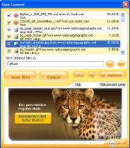 Flash and Media Capture