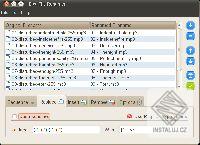 Bica File Renamer