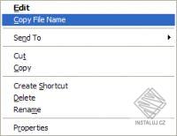 Copy File Name