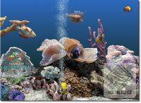 Marine Aquarium