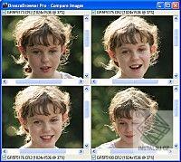 BreezeBrowser Pro